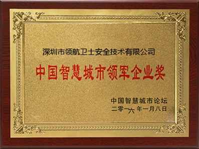 中國智慧城市領軍企業獎